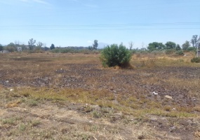 s/n Carretera Federal Salamanca Villagranca, Guanajuato, ,Terreno,En Venta,Carretera Federal Salamanca Villagranca ,1123