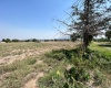 s/n Camino del Ejido Santa Maria Cuautlan, Estado de México, ,Terreno,En Venta,Camino del Ejido Santa Maria Cuautlan,1154