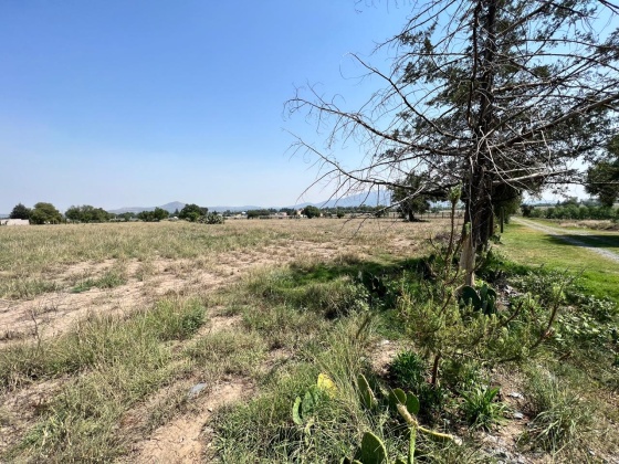 s/n Camino del Ejido Santa Maria Cuautlan, Estado de México, ,Terreno,En Venta,Camino del Ejido Santa Maria Cuautlan,1154
