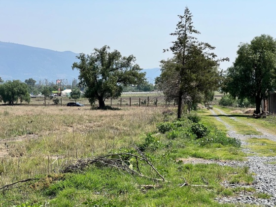 s/n Camino del Ejido Santa Maria Cuautlan, Estado de México, ,Terreno,En Venta,Camino del Ejido Santa Maria Cuautlan,1154