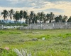 Barra de Coyuca, Guerrero, ,Terreno,En Venta,Barra de Coyuca,1156