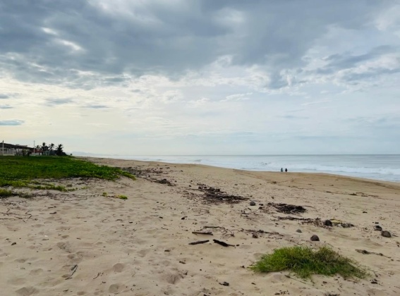 Barra de Coyuca, Guerrero, ,Terreno,En Venta,Barra de Coyuca,1156