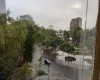 43 Medellin, Ciudad de México, 1 Dormitorio Habitaciones, ,1 BañoBathrooms,Departamento,En Renta,Medellin,1159