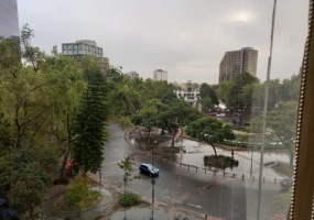 43 Medellin, Ciudad de México, 1 Dormitorio Habitaciones, ,1 BañoBathrooms,Departamento,En Renta,Medellin,1159