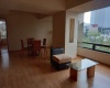 43 Medellin, Ciudad de México, 1 Dormitorio Habitaciones, ,1 BañoBathrooms,Departamento,En Renta,Medellin,1159