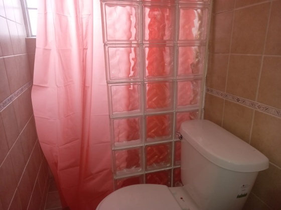 133 Artes, Ciudad de México, 1 Dormitorio Habitaciones, ,1 BañoBathrooms,Departamento,En Renta,Artes,1160