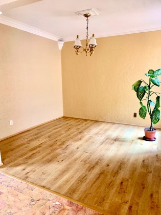 365 Amsterdam, Ciudad de México, 2 Habitaciones Habitaciones, ,1 BañoBathrooms,Departamento,En Venta,Amsterdam,1164